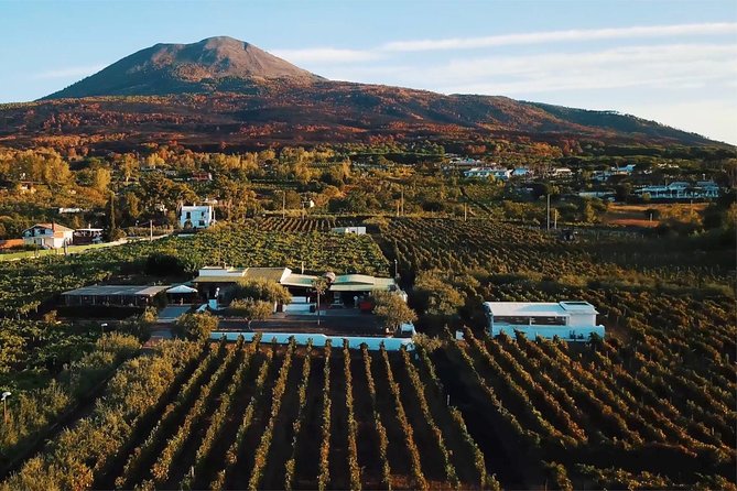 Organic Wine Tasting & Lunch on Vesuvius with Transfer from Sorrento Peninsula - Key things to know before booking