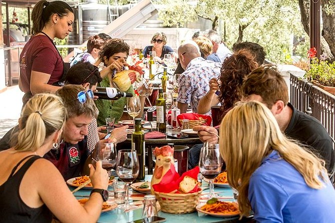 Organic Wine Tasting & Lunch on Vesuvius with Transfer from Sorrento Peninsula - Is $372.32 per person fair value?