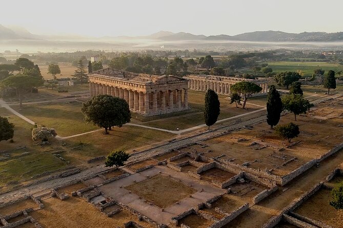 Paestum Private: Temples & Archaeological Museum with Your Local Archaeologist - The price makes more sense for a full group