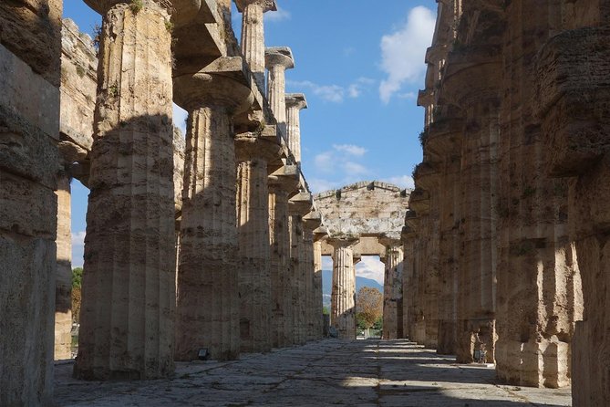 Paestum Private: Temples & Archaeological Museum with Your Local Archaeologist - Who will get the most from this two-hour visit?