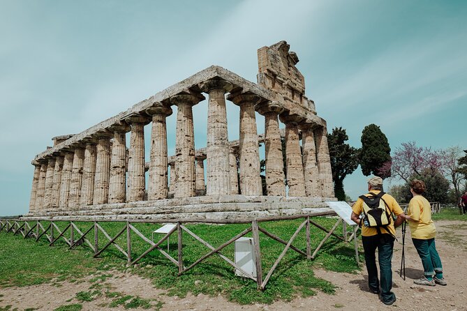 Paestum: Private Tour of Greek Temples and Archaeological Museum - What the private format really gives you