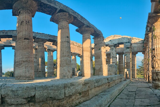 Paestum Traditions, Buffaloes, Ceramics, Temples - Meeting buffaloes at Barlotti