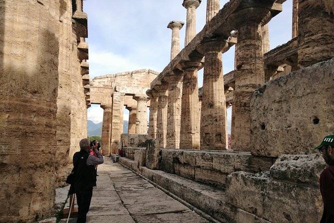 Paestum Traditions, Buffaloes, Ceramics, Temples - Paestum’s temples under artistic lighting