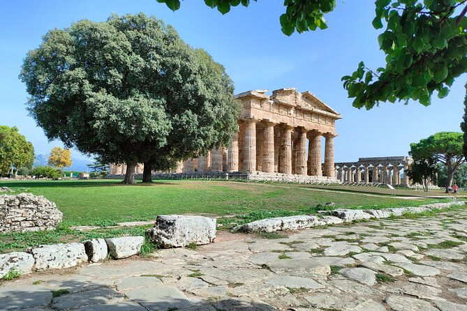 Paestum Traditions, Buffaloes, Ceramics, Temples - How the timing works for your day