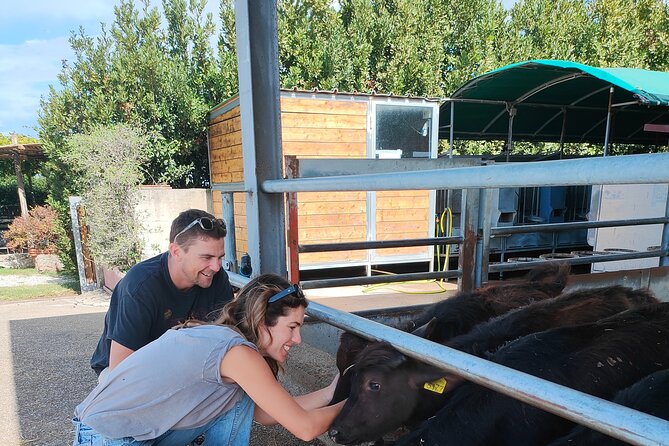 Paestum Traditions, Buffaloes, Ceramics, Temples - What to bring and what to expect