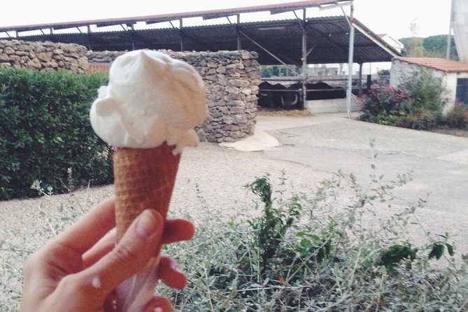 Paestum Traditions, Buffaloes, Ceramics, Temples - At Antonio Guida’s ceramic workshop
