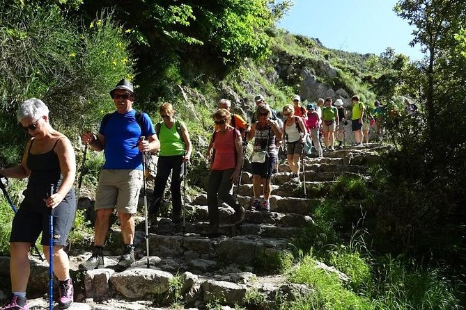 Path of Gods Hike, with Food Experience at Shepherd's Hut - What the $240.96 price includes