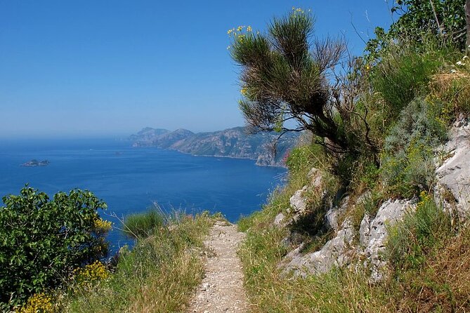 Path of the God and Positano Amalfi private tour - How the private format affects the value