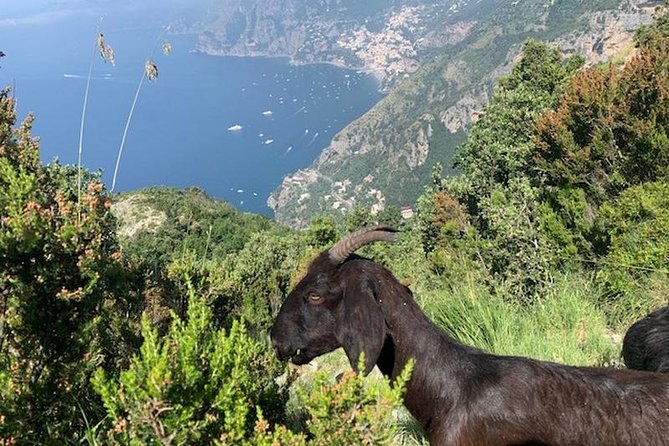 Path of the gods hike - Following the cliff route toward Positano