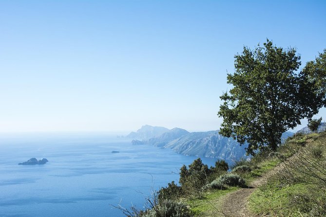 Path of the Gods Hiking Day Tour from Sorrento - Key points to know before you book