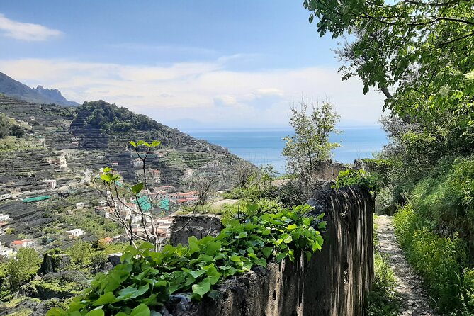 Path of the Lemons - Key points to know before you book