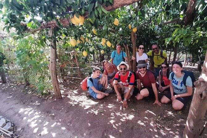 Path of the Lemons - Timing, transport, and the return journey
