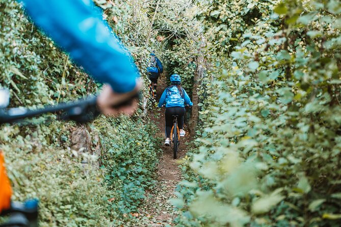Pedals & Flavours: Sorrento oil and lemon tour - What the Sentieri di Massa Lubrense ride is really like