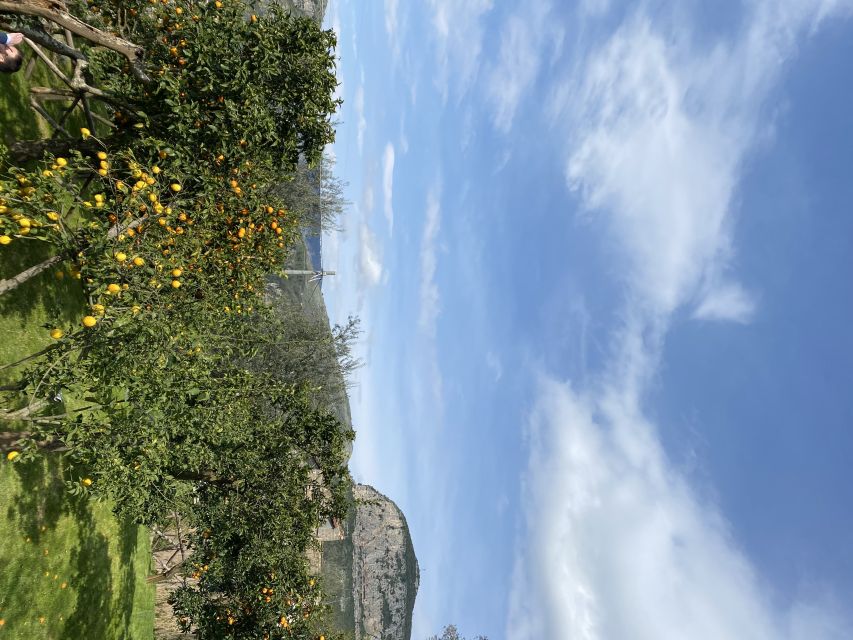 Piano di Sorrento: Cooking Class with Food Tasting and Wine - What the hosts add to the experience