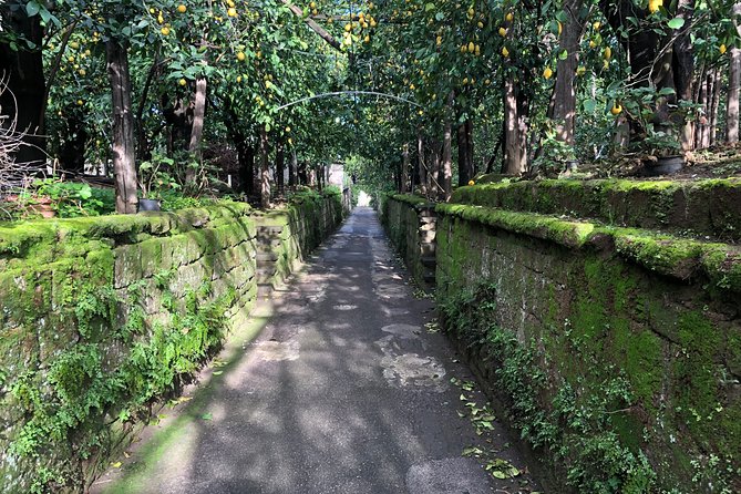 Piano di Sorrento Walking Tour with a Local - Lemon gardens, cannolo, and South Italian ice cream