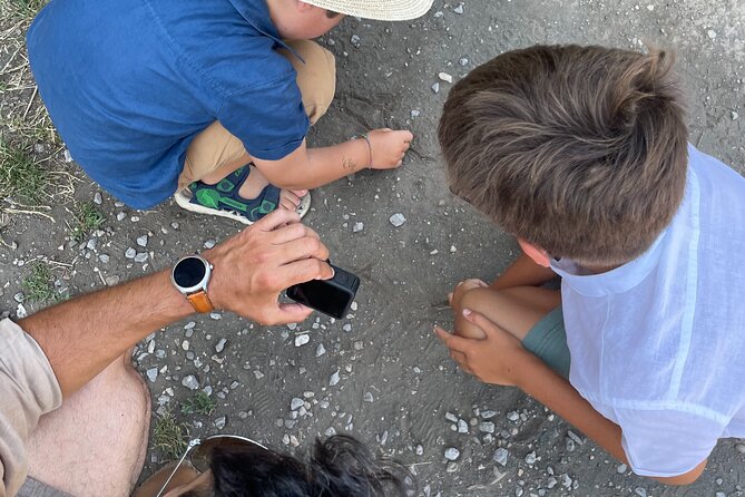 Pompei Adventure: A Tailored Tour for Families with Kids! - Starting at the Amphitheater