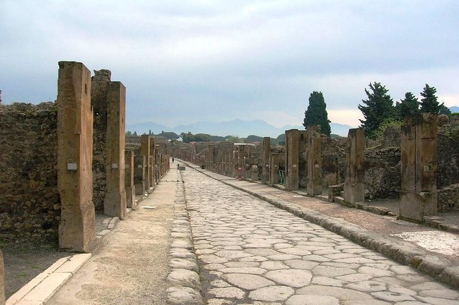 Pompei Archeological site and Wine tasting Experience - Who will enjoy this private day most?