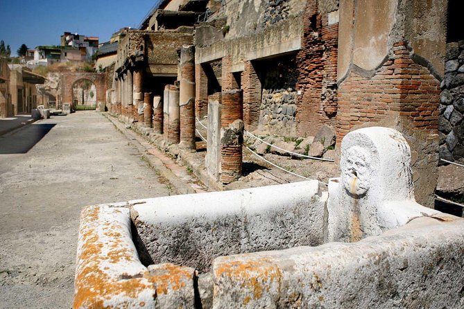 Pompeii 2 h guided tour - Skip-the-line Priority Access - Entering the Archaeological Park with priority admission