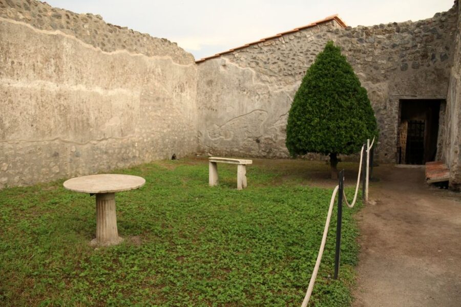Pompeii 2-Hour Private Tour - The plaster casts and the human cost of 79 AD