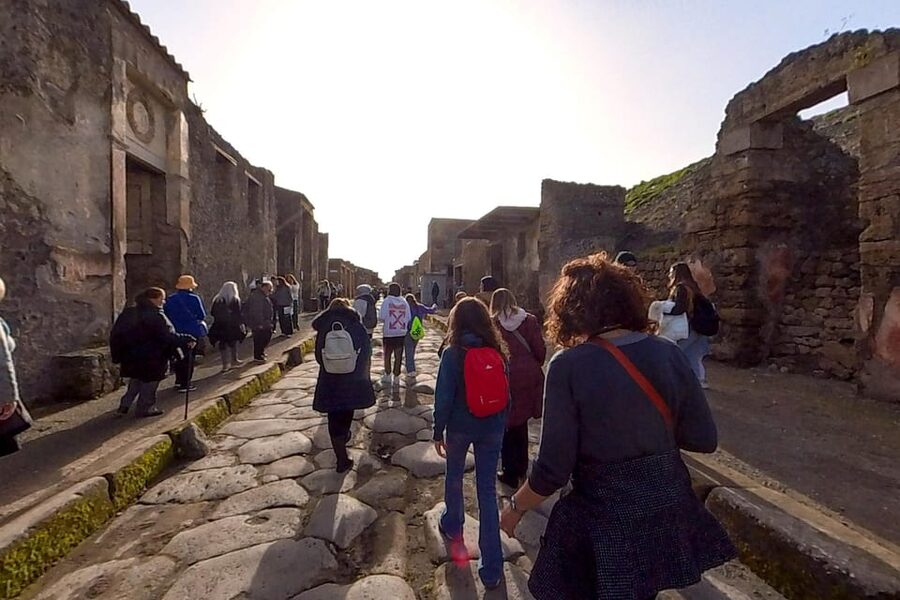 Pompeii: 2 Hours Skip the Line Visit with a Licensed Guide - Meeting at Piazza Esedra near Hotel Vittoria