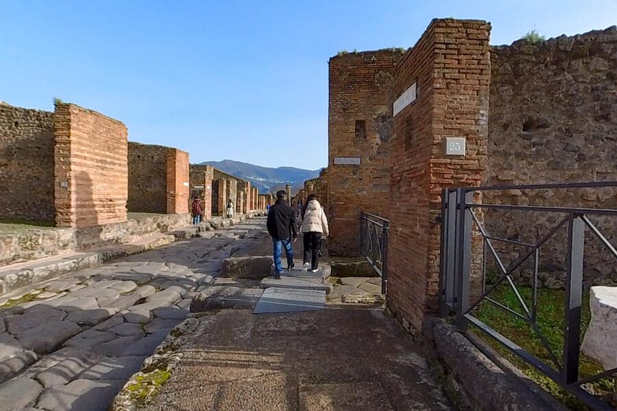 Pompeii: 2 Hours Skip the Line Visit with a Licensed Guide - Group size, pace, and the one-hour problem