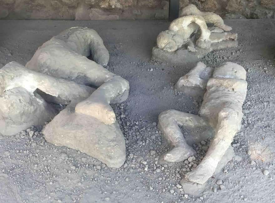 Pompeii : 2h small group tour with an archeologist - Key points to know before booking