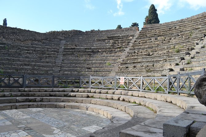Pompeii 3 Hours Walking Tour Led by an Archaeologist - House of the Faun and Pompeii’s largest homes