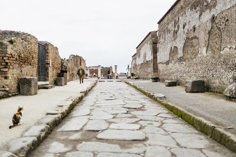Pompeii: Afternoon to Sunset Guided Tour with Ticket - How the archaeologist guides shape the visit