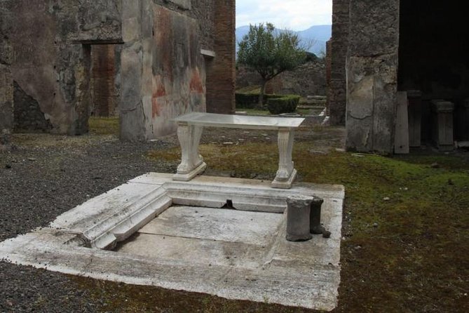 Pompeii and Amalfi Coast Port Tour (Driver Only/Self Touring) - Pompeii in Two Hours
