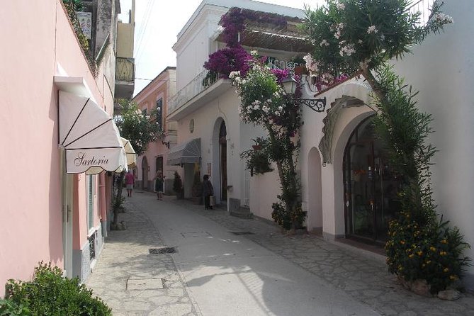Pompeii and Amalfi Coast Port Tour (Driver Only/Self Touring) - Who Will Get the Most From This Tour?