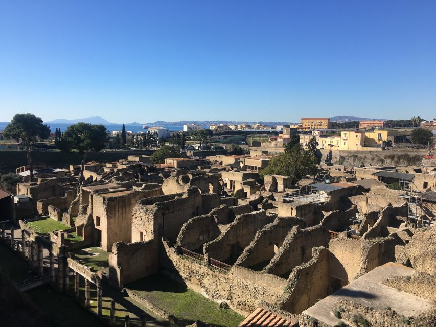 Pompeii and Herculaneum: Guided Tour with an Archaeologist - Who should book this tour?