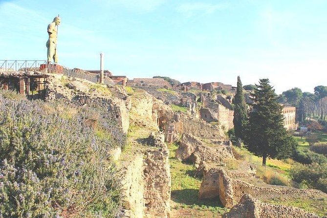 Pompeii and Herculaneum Private Tour with Native Guide and Skip the Line Tickets - Herculaneum’s compact, detailed ruins