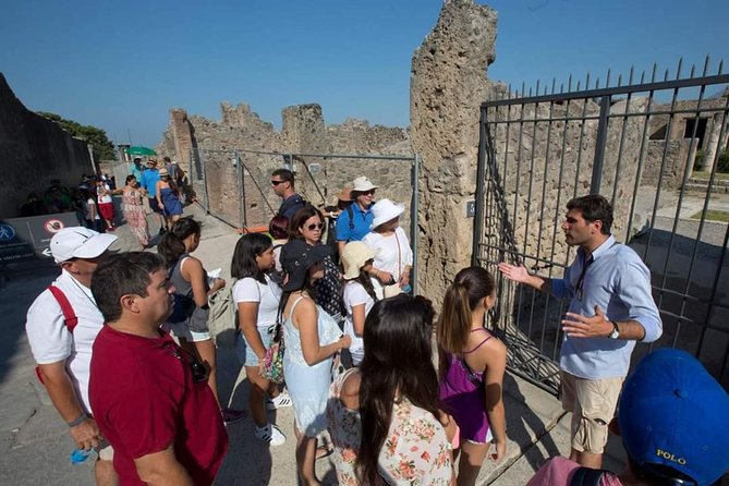 Pompeii and Herculaneum Small Group Tour with an Archaeologist - Pompeii begins with the city’s public heart