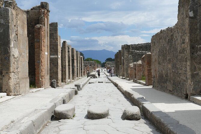 Pompeii and Herculaneum with Wine Tour - Four hours among Pompeii’s streets and public buildings