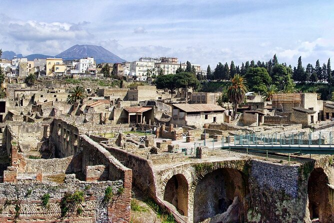 Pompeii and Herculaneum with Wine Tour - What the $423.99 price really buys