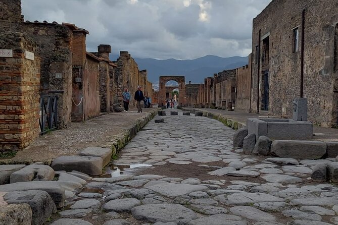 Pompeii and Herculaneum with Wine Tour - Should you book Pompeii, Herculaneum, and wine?