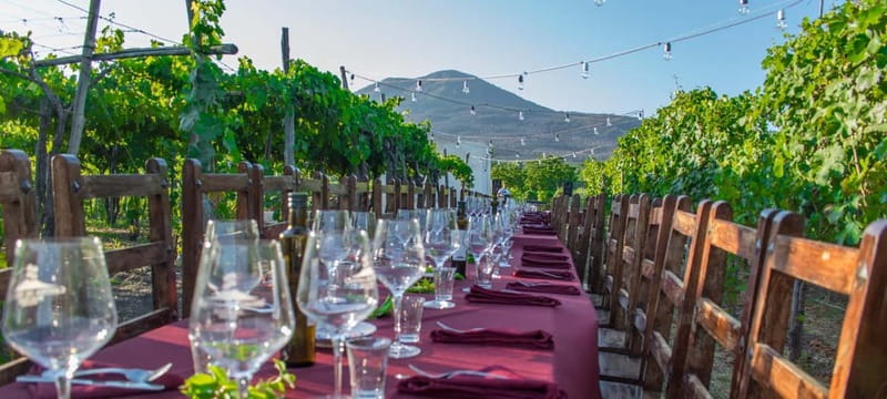 Pompeii and Vesuvius Cellars: Tour with Pick-Up in Positano - Why this Positano day trip works
