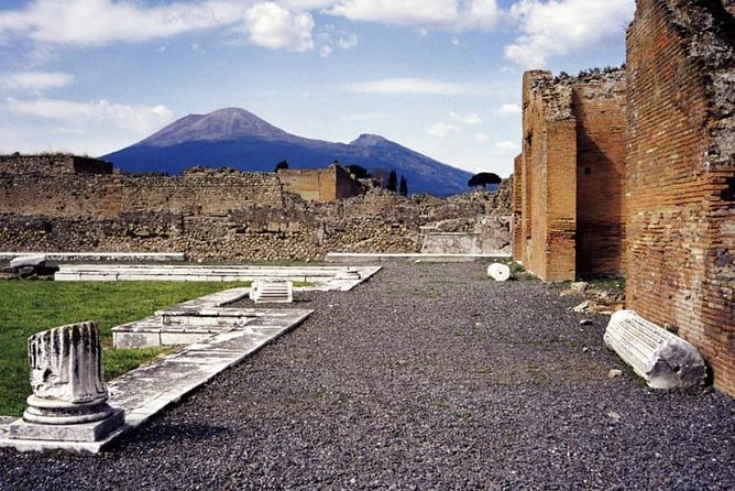 Pompeii and Vesuvius Experience from Sorrento - Skip The Line - - Key points to know before booking