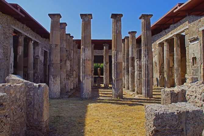 Pompeii and Vesuvius Experience from Sorrento - Skip The Line - - Who will get the most from this experience