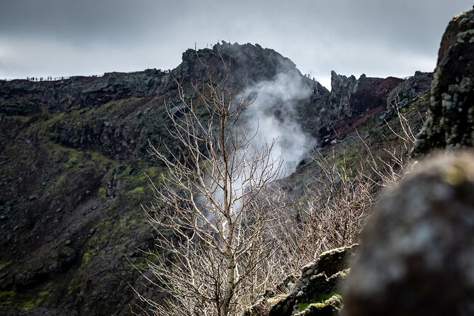 Pompeii and Vesuvius Small Group Tour from Sorrento with Pizza - Key points to know before booking