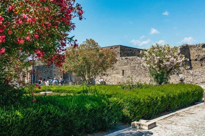 Pompeii: Archaeological Park Tour with Ticket on request - Why a guide helps at Pompeii