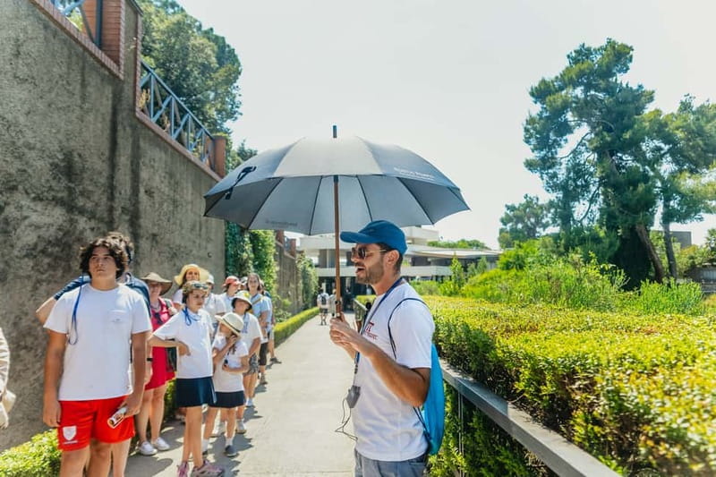 Pompeii: Archaeological Park Tour with Ticket on request - Ancient streets and the Roman city