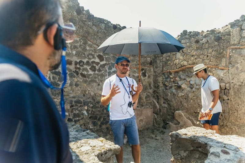 Pompeii: Archaeological Park Tour with Ticket on request - Frescoes, homes, and the human cost of the eruption