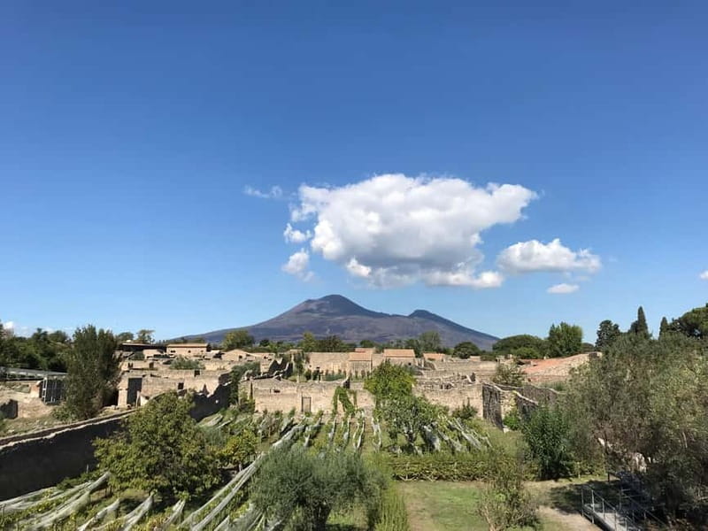 Pompeii: Archeological Tour & Wine Tasting at Mt. Vesuvius - Four wines and a full Vesuvian lunch