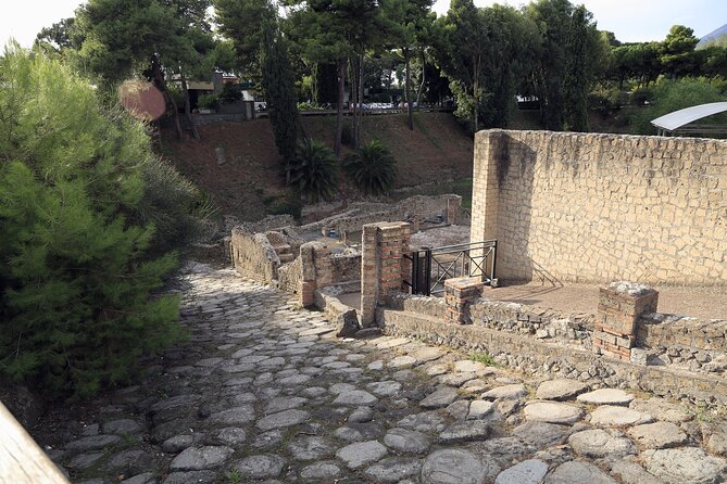 Pompeii Day Tour - Walking, weather, and the practical side of the ruins