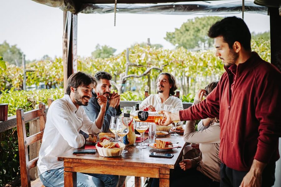 Pompeii: Guided Day Trip to Ruins and 2 Wineries Visits - The First Transfer and Your Included Meal