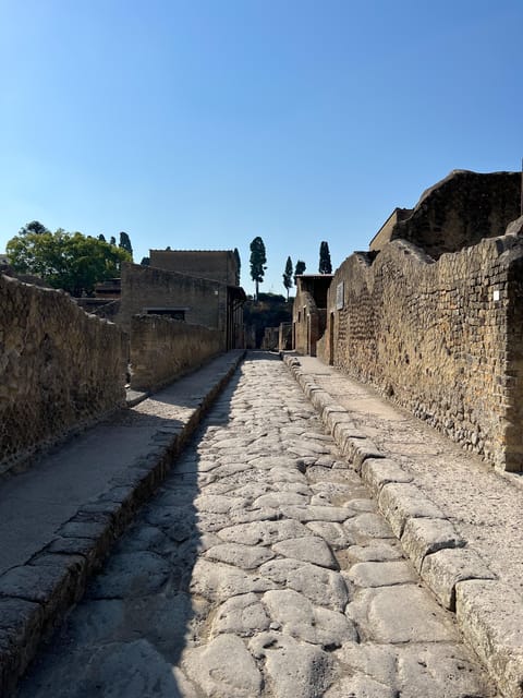 Pompeii Guided Experience - Tour Service Only - Reading Pompeii with a local guide