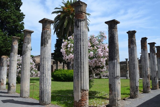 Pompeii: Guided Small Group Tour Max 6 People with Private Option - What the Vesuvius view adds