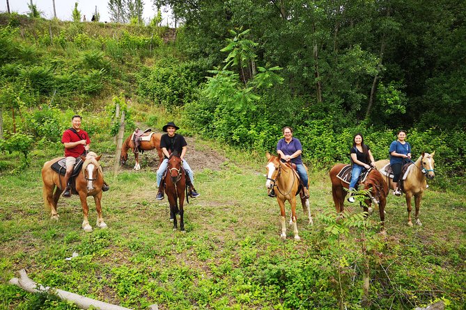 Pompeii Guided Tour & Horse Riding on Vesuvius with Lunch - Horseback riding through Vesuvius vineyards