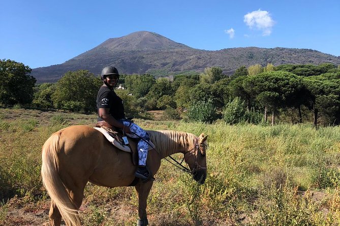 Pompeii Guided Tour & Horse Riding on Vesuvius with Lunch - Lunch above Pompeii, with Mount Vesuvius nearby